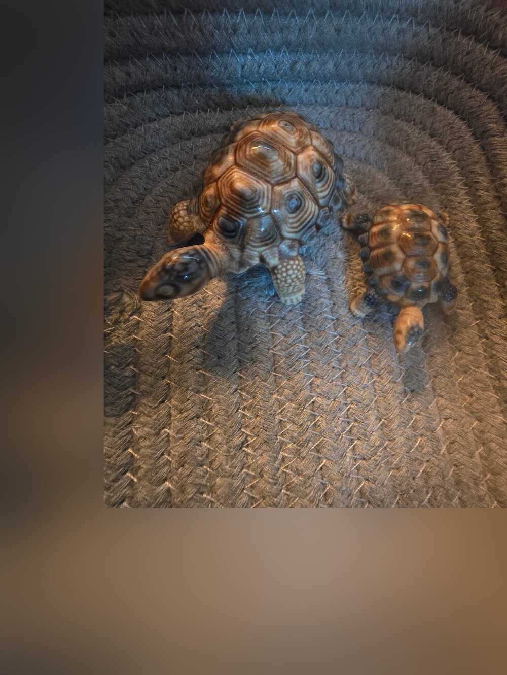 Wade Realistic Tortoise Family Mother Baby1958-1988